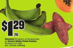FreshCo Plantain product of guatemala or sweet white flesh potato offer