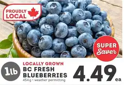 IGA BC fresh blueberries offer