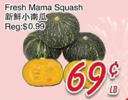 Foody Mart Fresh Mama Squash offer