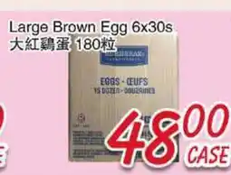 Foody Mart Large Brown Egg offer