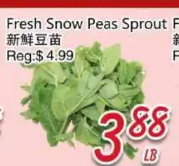 Foody Mart Fresh Snow Peas Sprout offer