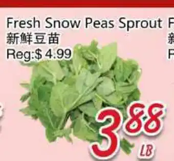 Foody Mart Fresh Snow Peas Sprout offer