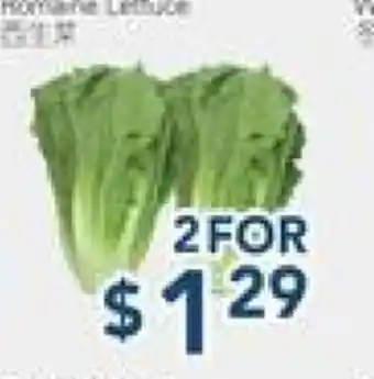 Oceans Fresh Food Market Lettuce offer
