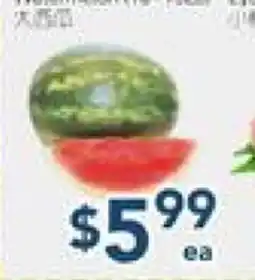 Oceans Fresh Food Market Melon offer