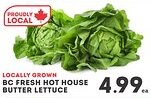 IGA BC fresh hot house butter lettuce offer