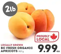 IGA BC fresh organic apricots offer