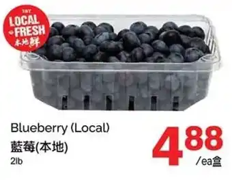 T&T Supermarket Blueberry offer