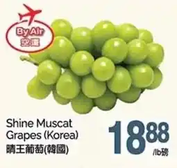 T&T Supermarket Shine muscat grapes offer