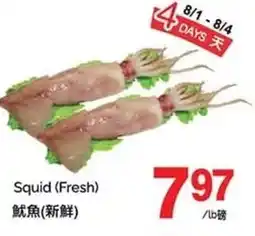 T&T Supermarket Squid fresh offer