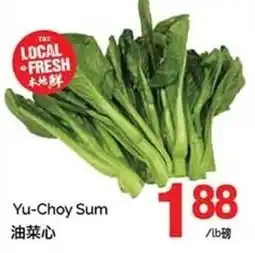 T&T Supermarket Yu-Choy Sum offer