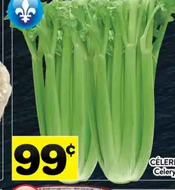 Supermarché PA CÉLERI | Celery offer