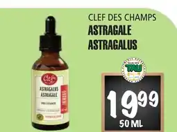 Marches Tau ASTRAGALE CLEF DES CHAMPS offer