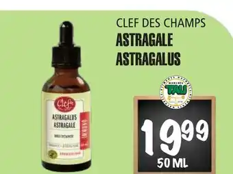Marches Tau ASTRAGALE CLEF DES CHAMPS offer
