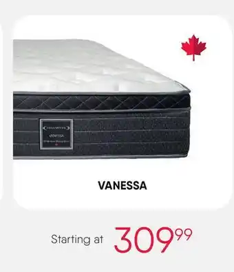 Meubles RD VANESSA offer