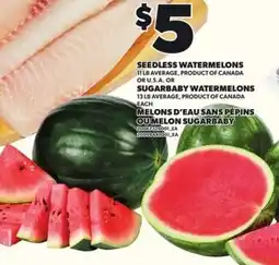 Loblaws Seedless watermelons sugarbaby watermelons offer