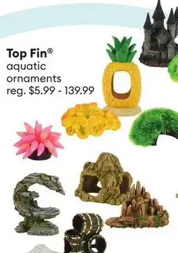 Petsmart Top Fin aquatic ornaments offer