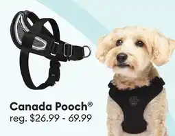 Petsmart Canada Pooch offer