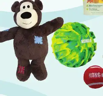 Petsmart KONG offer