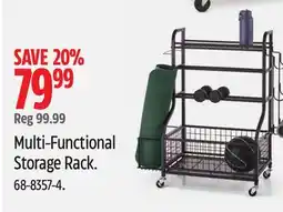 Canadian Tire Type A Multi-Functional Storage Rack offer