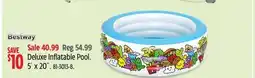 Canadian Tire Bestway Deluxe Inflatable Pool offer