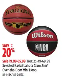 Canadian Tire Selected Basketballs or Slam Jam Over-the-Door Mini Hoop offer