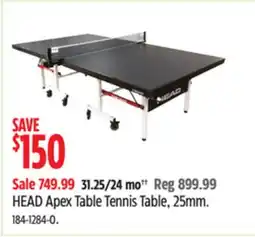 Canadian Tire HEAD Apex Table Tennis Table offer