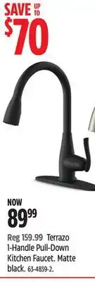 Canadian Tire Danze Terrazo 1-Handle Pull-Down Kitchen Faucet offer