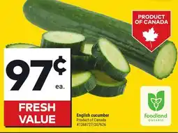 Giant Tiger English cucumber offer