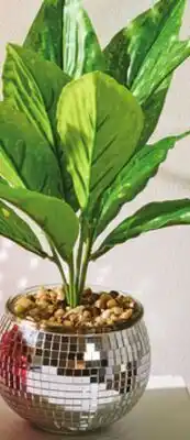 Giant Tiger Disco planter with faux palm tree offer