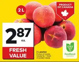 Giant Tiger 2 L peaches offer