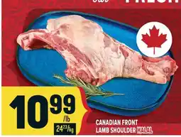 Marché Adonis CANADIAN FRONT LAMB SHOULDER HALAL offer