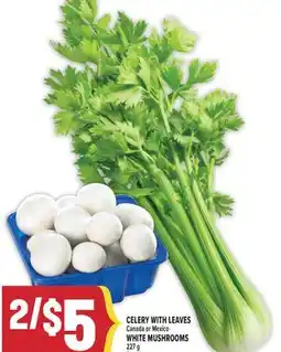 Marché Adonis CELERY WITH LEAVES offer
