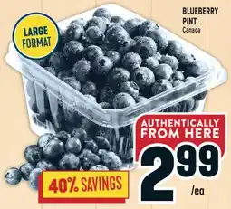 Marché Adonis BLUEBERRY PINT offer