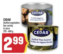 Marché Adonis CEDAR Stuffed vegetables offer