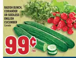 Marché Adonis RADISH BUNCH, CORIANDER OR SEEDLESS ENGLISH CUCUMBER offer