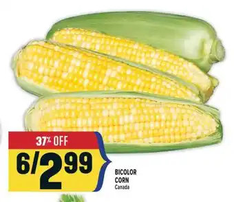 Marché Adonis BICOLOR CORN offer