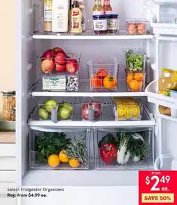 Kitchen Stuff Plus 4 PC. SET Select Fridgestor Organizers offer