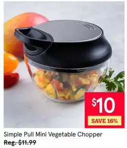 Kitchen Stuff Plus 6 PC. SET Simple Pull Mini Vegetable Chopper offer