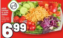 Metro SALADE FRAÎCHER DU JARDIN CHEDDAR | CHEDDAR GARDEN FRESHNESS SALAD offer