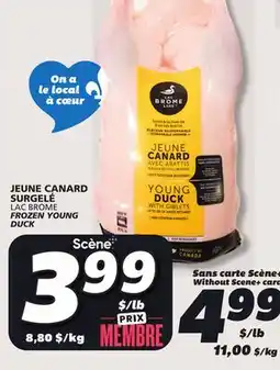 IGA LAC BROME FROZEN YOUNG DUCK offer