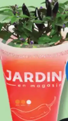 IGA COMESTIBLES EDABLE MILD OR HOT PEPPER PLANT offer