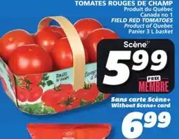 IGA FIELD RED TOMATOES offer