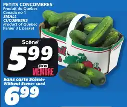 IGA SMALL CUCUMBERS offer