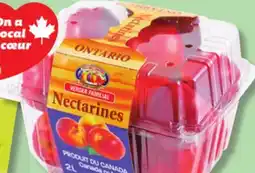 IGA NECTARINES offer