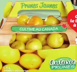 IGA YELLOW PLUMS offer