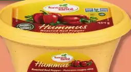 IGA FONTAINE SANTÉ HUMMUS offer