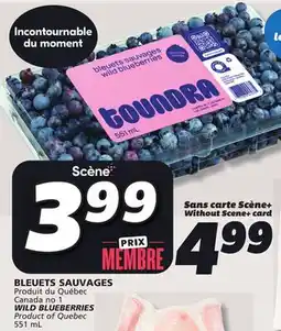 IGA WILD BLUEBERRIES offer