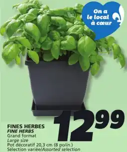 IGA FINE HERBS offer
