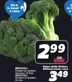 IGA BROCCOLI offer