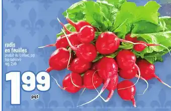 Metro RADIS EN FEUILLES | TOP RADISHES offer